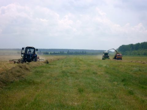 Заготовка кормов и сбор урожая в Архангельской области завершены